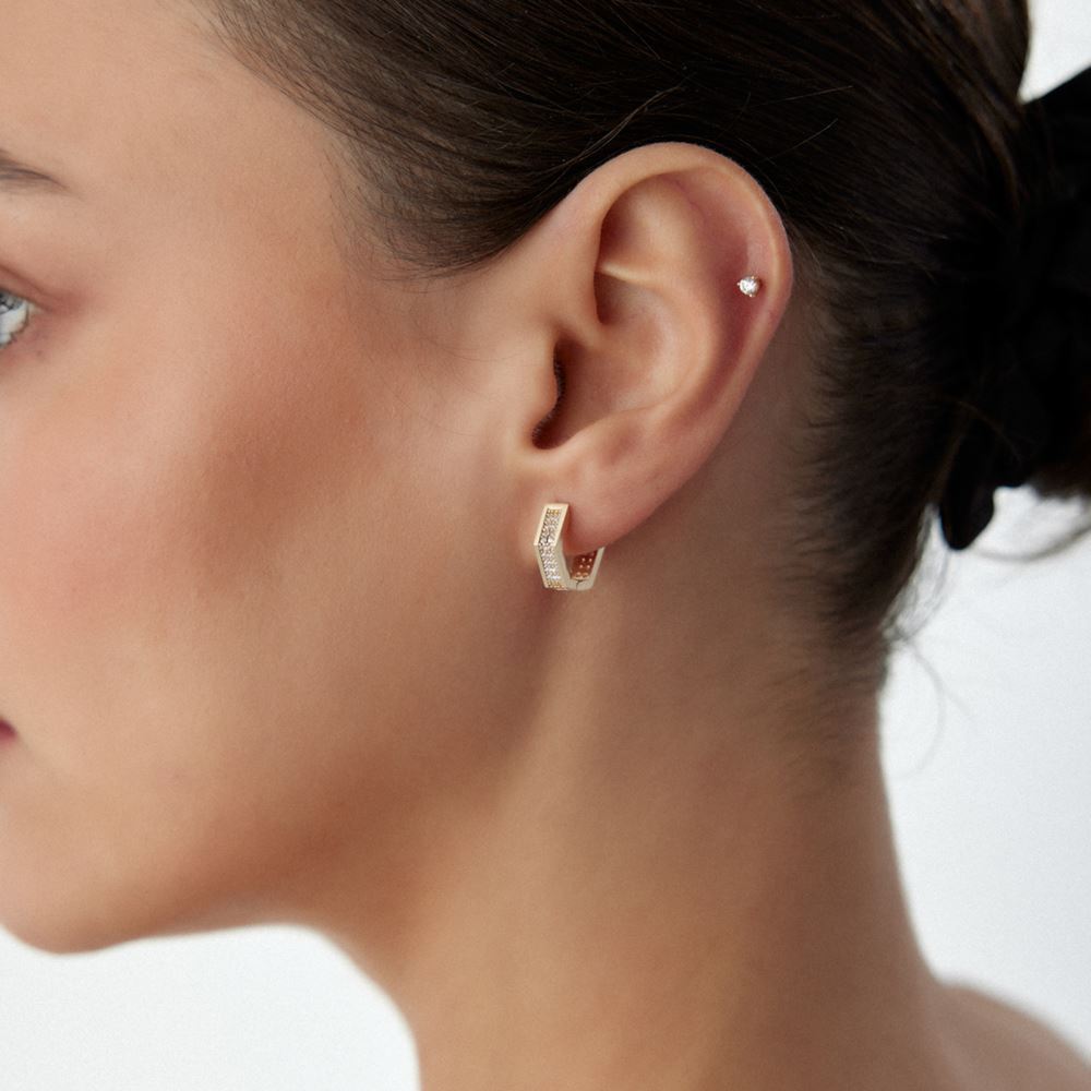 Halka Beşgen Taşlı Küpe