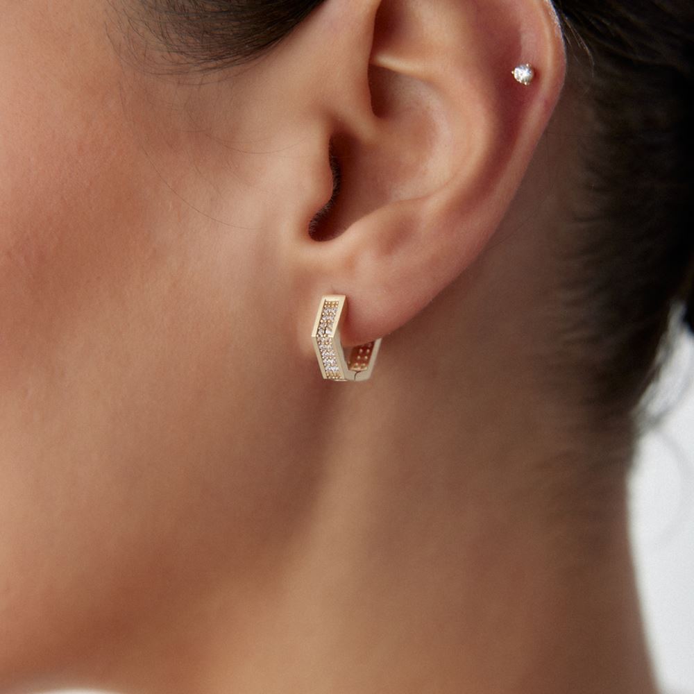 Halka Beşgen Taşlı Küpe