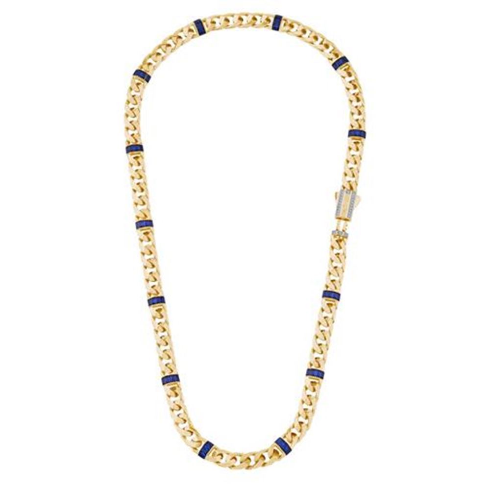 Mavi Taşlı Gurmet Zincir