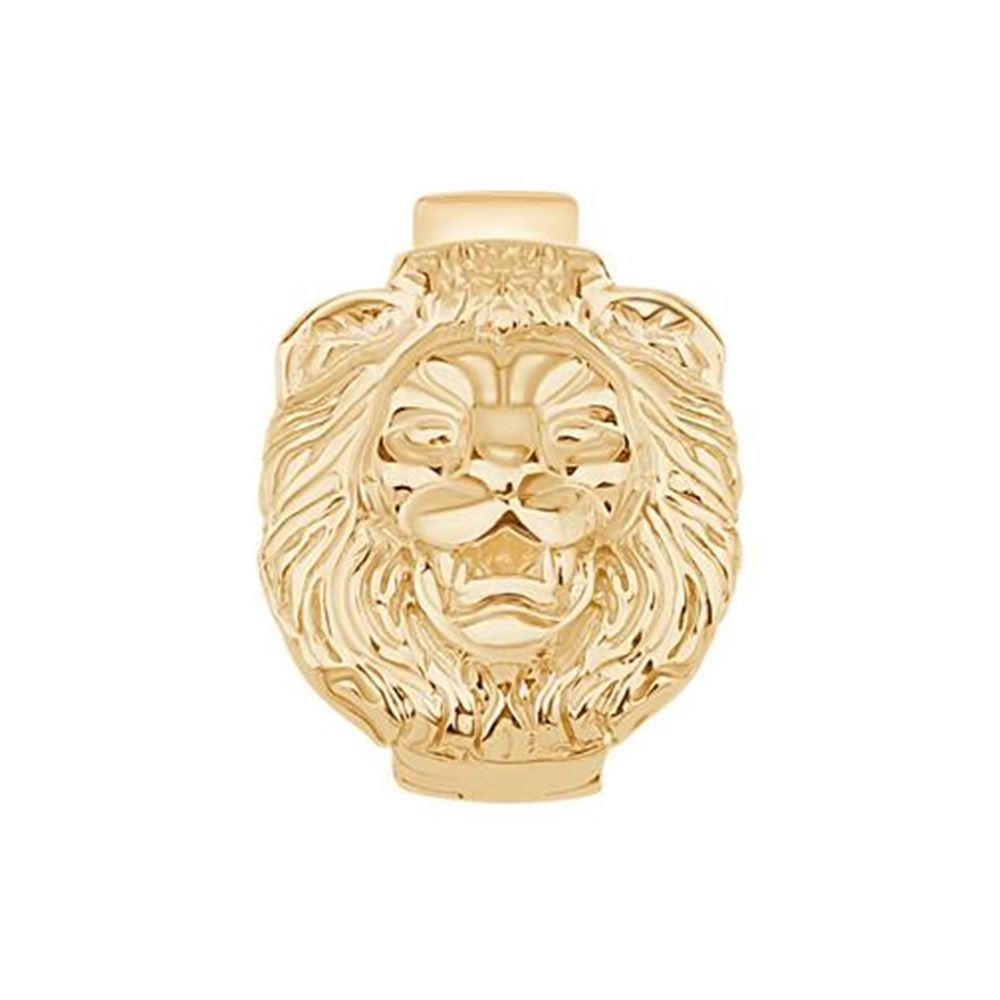 Aslan 9Mm Bileklik Charm